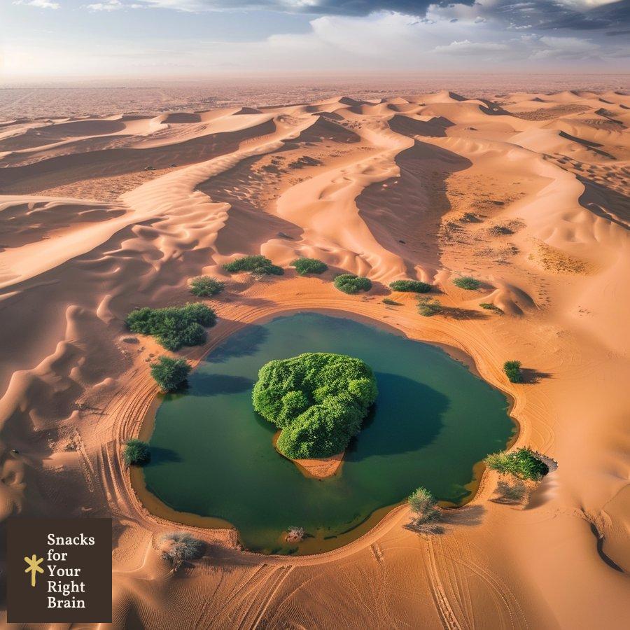 last_green_oasis_surrounded_by_vast_desert_wasteland_4.jpg